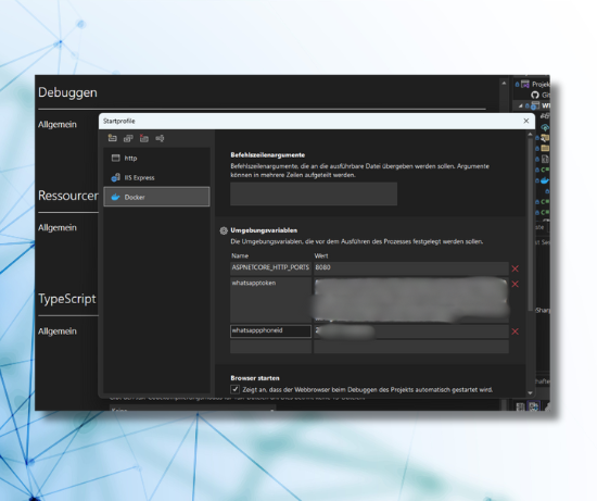 Adding environment variables to the Visual Studio Debug Configuration